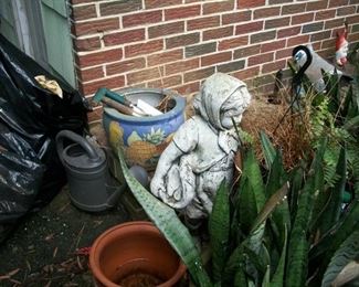 her she is behind the mother-in-law tongue