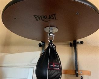 pro-impact speed bag with wall mounted hardware