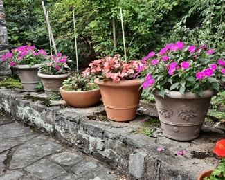 LOTS of POTS........  some clean and empty, some filled with live plants.  Clay, cast-stone, resin,  . . . . . .    ALL cheap and lovely . . . . . .