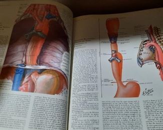 Medical CIBA books with great illustrations in living color 