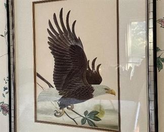 Eagle litho, framed