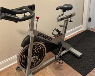 Professional Schwinn Spin Bike