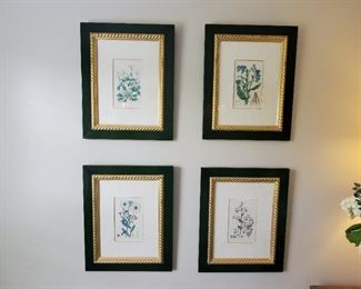 Botanical Framed Art