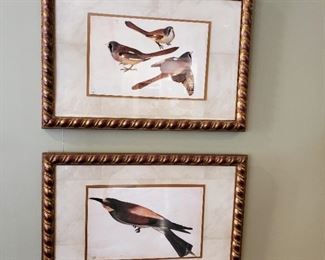 Bird Prints