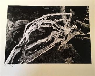 Robert S Woolley Matted Photograph