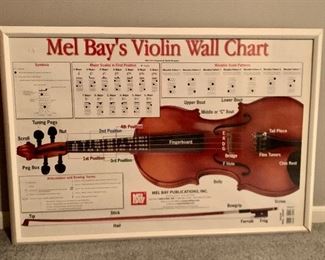Violin Chart in White frame.