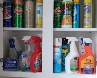 Some of many cleaning supplies