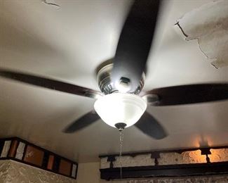 Ceiling fan with light kit