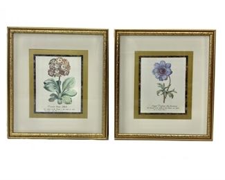 Pair Of Botanical Prints (2 Of 2 Pairs)
Lot #: 63