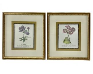 Pair Of Botanicals Prints (1 Of 2 Pairs)
Lot #: 64