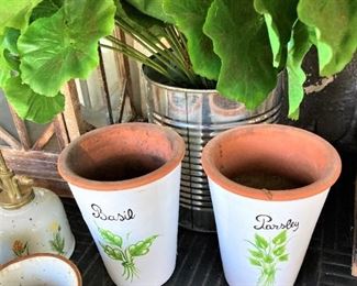 Plant your own basil and parsley!
