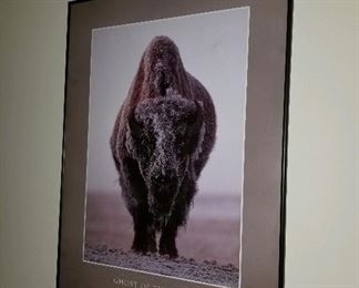 Photo art, bison