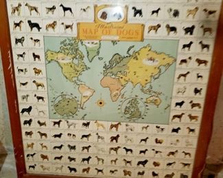 Rare, vintage poster, Dogs of the world 