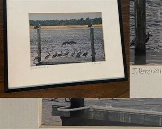 Signed, Numbered & Framed Original Photography 