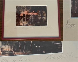 Signed, Numbered & Framed Original Photography 