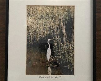 Signed Framed Original Photography 