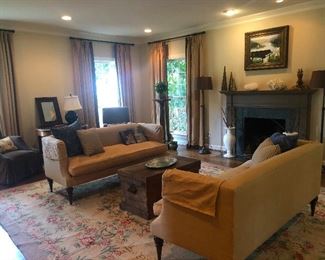 2 Down sofas cushions