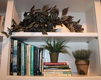 BOOKS, FAUX PLANTS