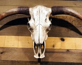 Faux Decorative Cow Skull, 16" x 29"