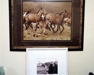 Framed Matted Under Glass Wild Horse Print, 25.25" x 31", And Scottish Highland Cow Photograph Print, 15" x 17"
