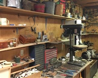 Close-ups on all of these later on...