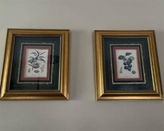 Framed Art Prints