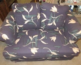 Sleeper Sofa Loveseat