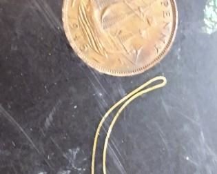 Mid Century Modern Money Tree platter