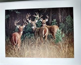 Bob Henley, Eyes Of The Forest, Print
