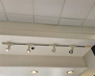 6ft 4in Bulb Track Light