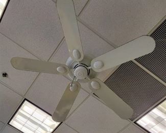 White Ceiling Fan