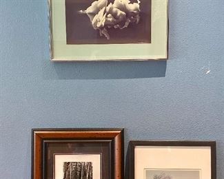  064dr Three Nature BW Photographs