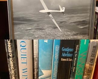 156of Soaring Plane Collection