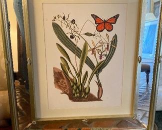 MIRROR FRAMED BOTANICAL PRINTS. $125 each.