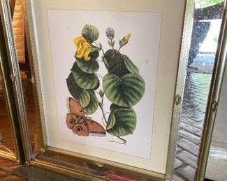 MIRROR FRAMED BOTANICAL PRINTS. $125 each.