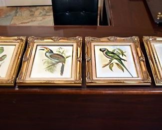 exoctic bird paintings, framed