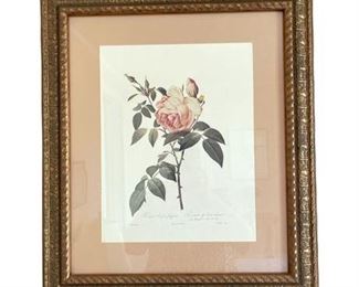 Lot 080
Rosa by Pierre-Joseph Redouté, Botanical Prints, Two (2)