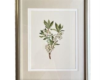 Lot 171
Pear Blossom Botanical Framed Print
