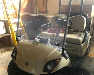 How can you resist? It's even wearing eyeliner