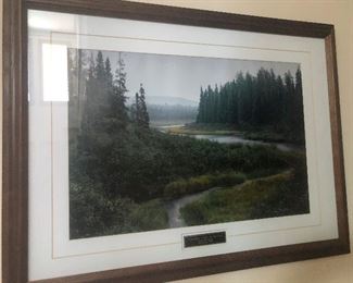 I'm back! I made it home! Cityscape