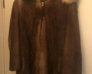 Otter and Fox (walked into a bar . . . )