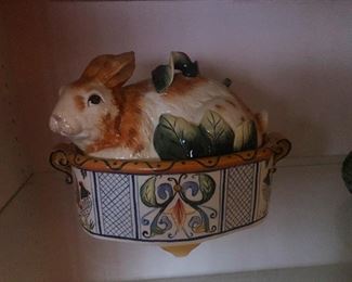 why is this bunny so nervous?