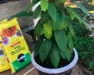 Grinch about to steal Christmas