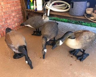lifelike geese eating imaginary breadcrumbs