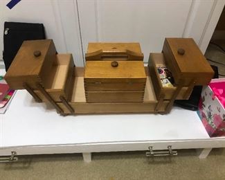 horse hobbles (I don't know what horse hobbles are.)