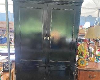 black laquer painted entertainment cabinet - the green image on top doors is a reflection of the shrubbery!