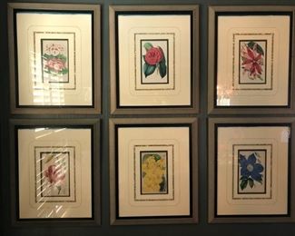 Antique Engraved Botanicals circa late 1900’s..