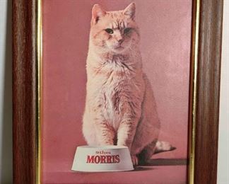 Celebrity Framed Photo of Nine Lives Star, Morris