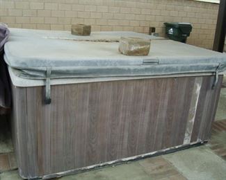 Hot Tub Anyone