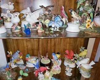 Beautiful Porcelain Bird Music   Box Collection